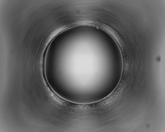 X0000101181050200806271247
