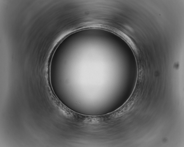 X0000101181051200806271247