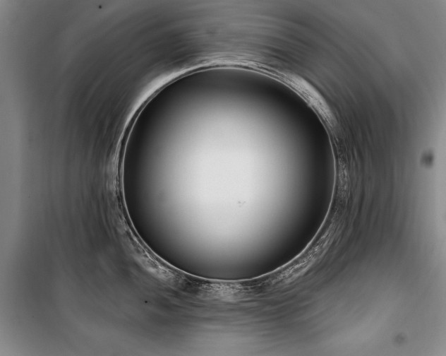 X0000101181052200806271247