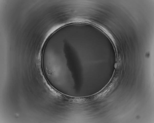 X0000101181053200806271247