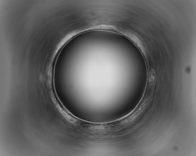 X0000101181054200806271247