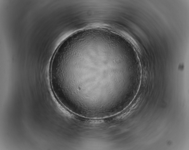X0000101181055200806271247