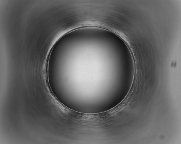 X0000101181056200806271247
