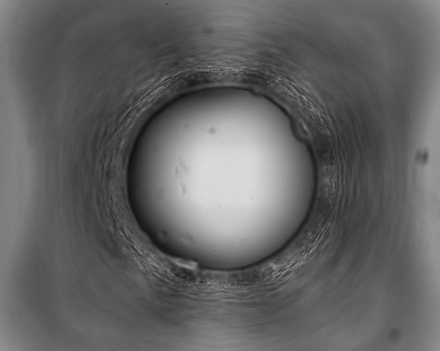X0000101181057200806271246