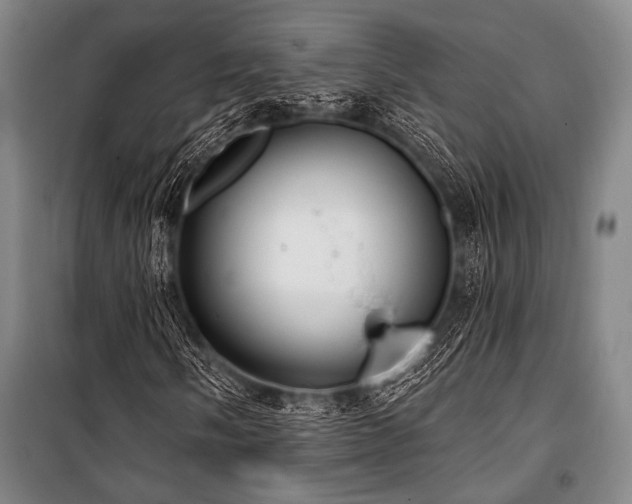 X0000101181058200806271246