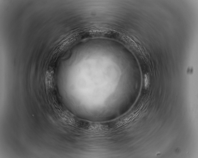X0000101181059200806271246
