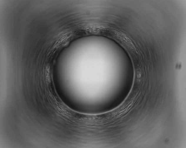 X0000101181060200806271246