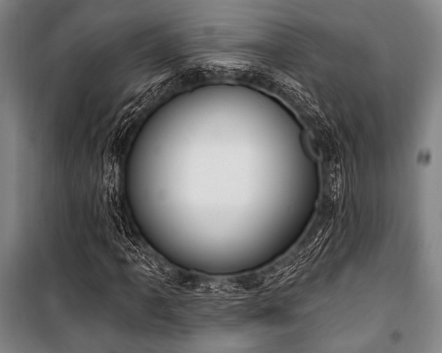 X0000101181061200806271246