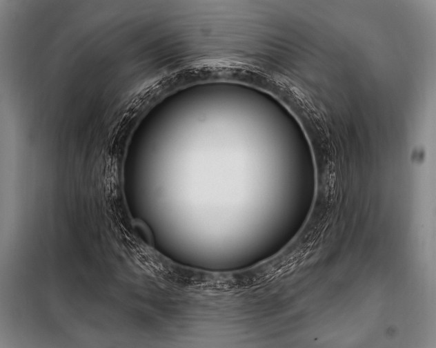 X0000101181062200806271246
