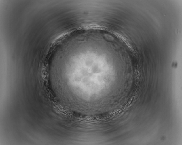 X0000101181063200806271246