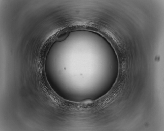 X0000101181064200806271246