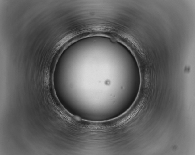X0000101181065200806271246