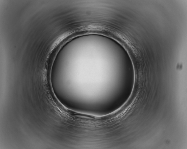 X0000101181066200806271246