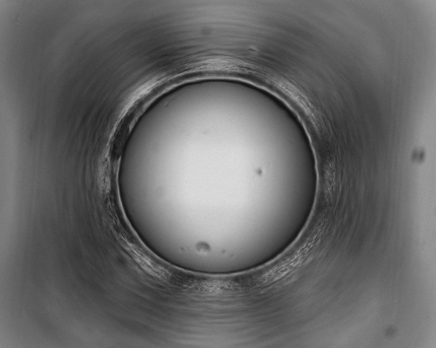 X0000101181067200806271246