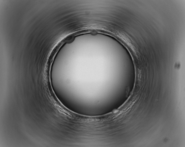 X0000101181068200806271246