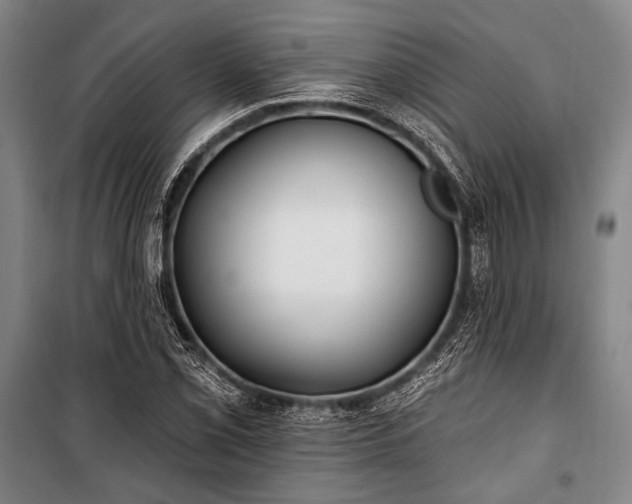 X0000101181069200806271246