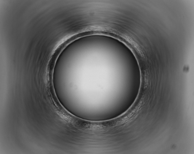 X0000101181070200806271246