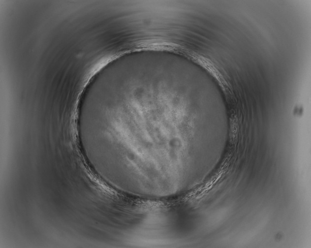 X0000101181071200806271246