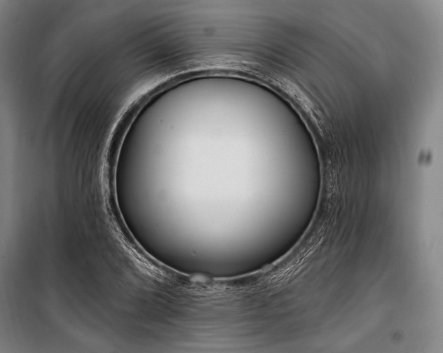 X0000101181072200806271246