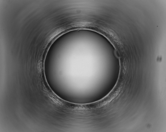 X0000101181073200806271246