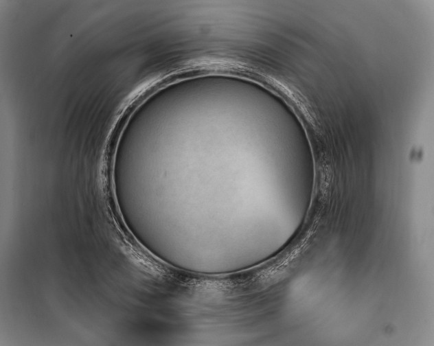 X0000101181074200806271246