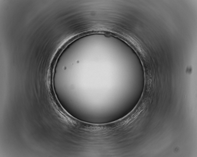 X0000101181076200806271246