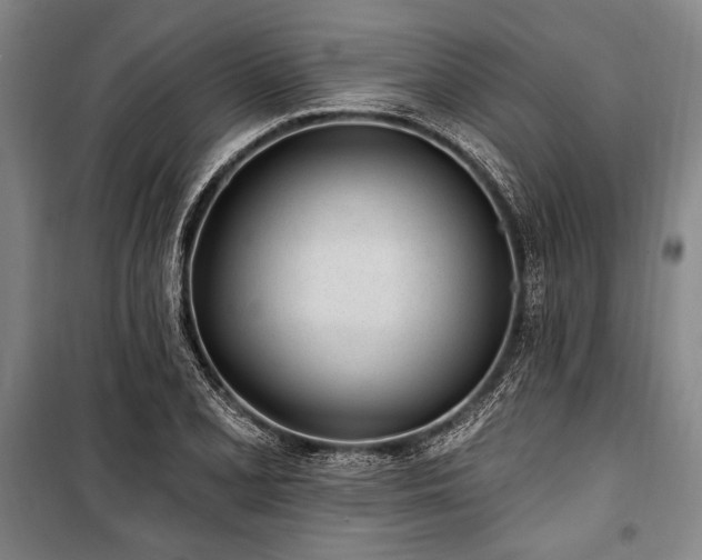 X0000101181077200806271246