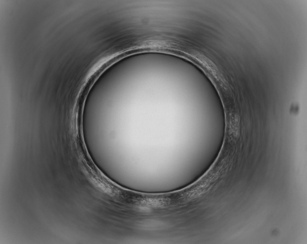 X0000101181078200806271246