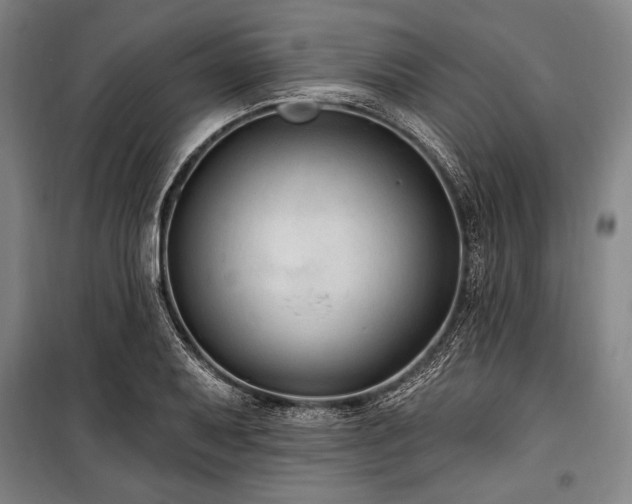 X0000101181079200806271246