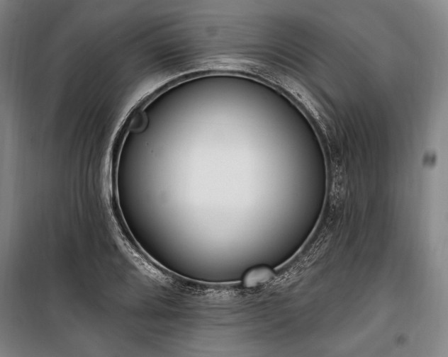 X0000101181080200806271246