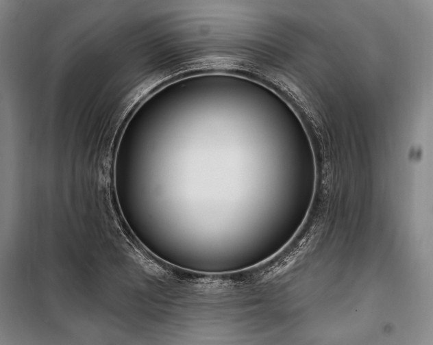 X0000101181081200806271246