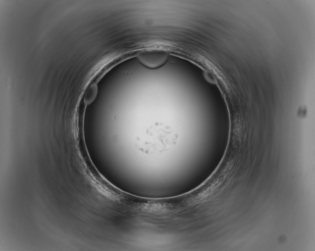 X0000101181082200806271246