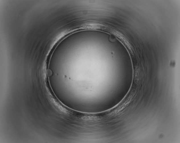 X0000101181083200806271246