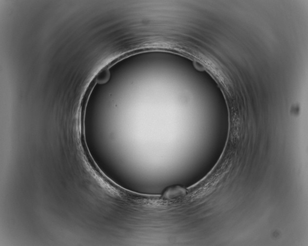 X0000101181084200806271246