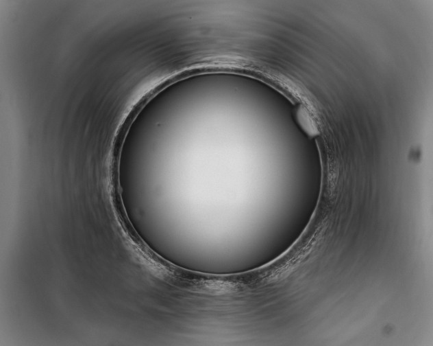 X0000101181085200806271246