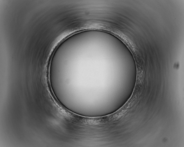 X0000101181086200806271246