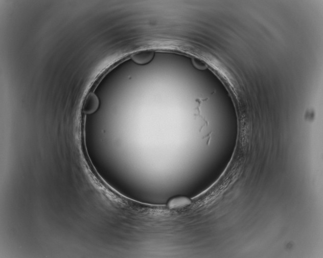 X0000101181088200806271246