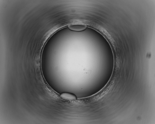 X0000101181089200806271246