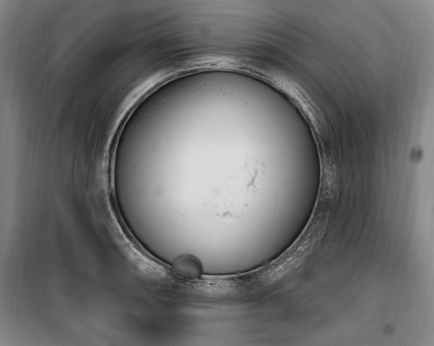 X0000101181090200806271246