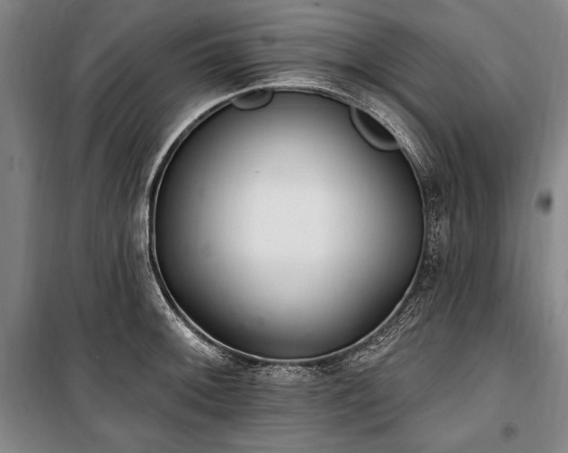 X0000101181092200806271246