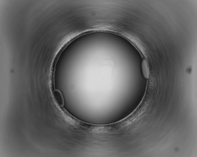 X0000101181093200806271246
