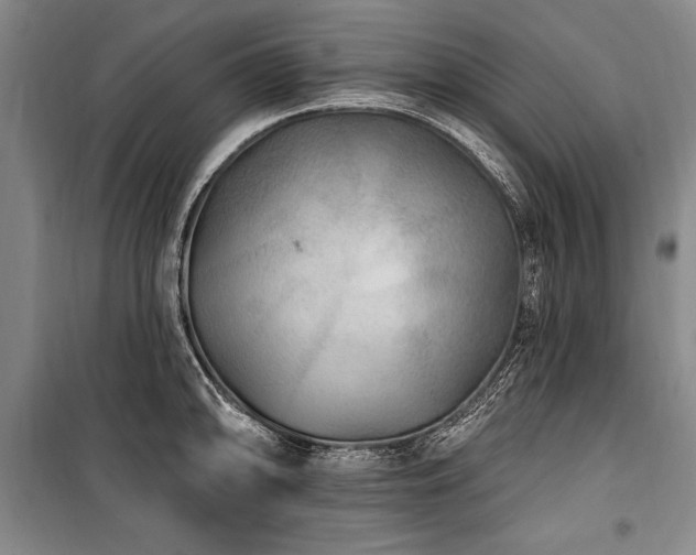 X0000101181094200806271246