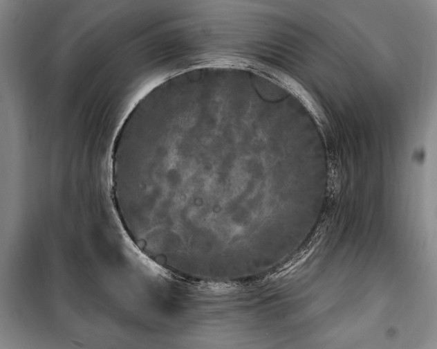 X0000101181095200806271246