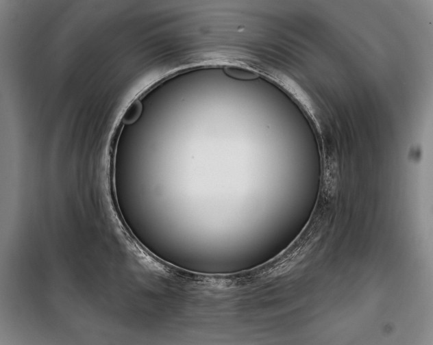 X0000101181096200806271246