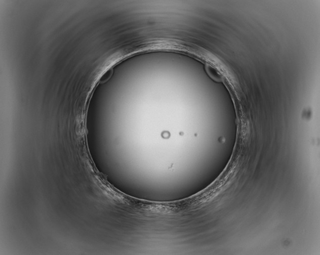X0000101181097200806271246