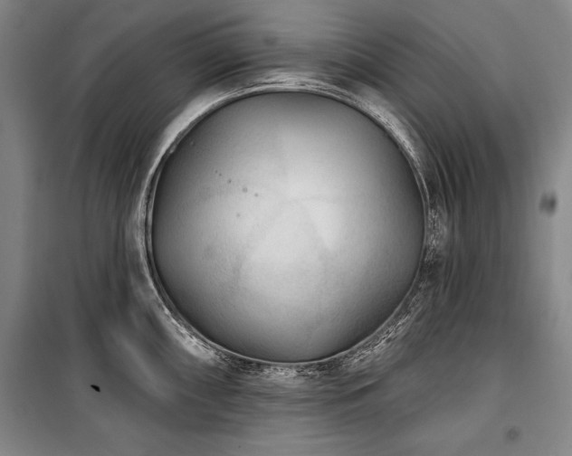 X0000101181098200806271246