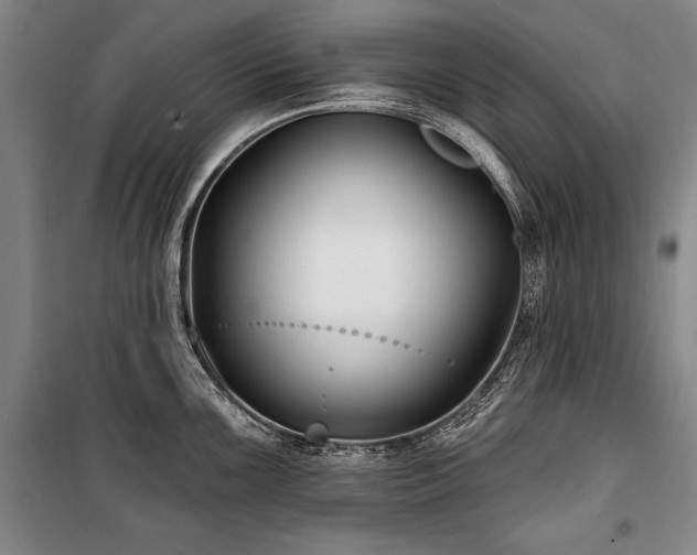 X0000101181099200806271246