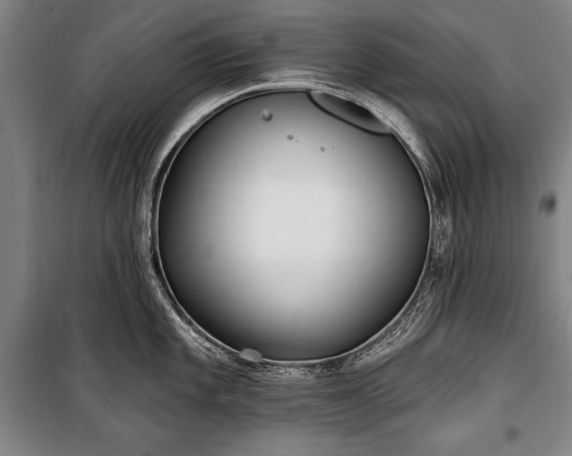 X0000101181101200806271246
