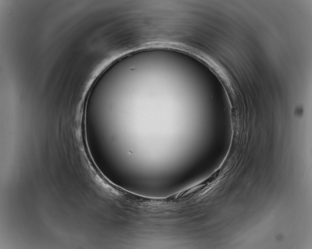 X0000101181102200806271246