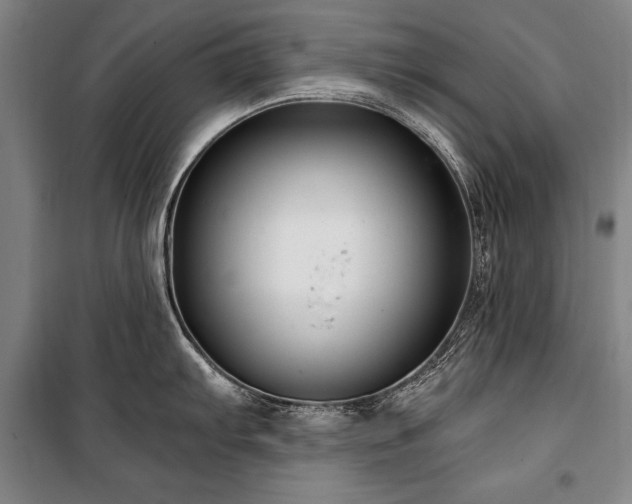 X0000101181103200806271246